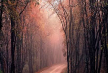 欧协联-穆德里克1射2传菲利克斯双响 切尔西4-1大胜.