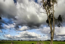 中国女足进奥运会悬了，但也不能“乱炖”了中新体坛.