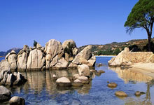 加拉：姆巴佩数据是超越了齐达内，但他距离齐祖还差2欧冠+1金球.